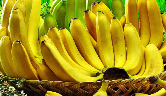 Muz Mide Bulantısına İyi Gelir Mi? 1 muz miğde bulantısına iyi gelir mi